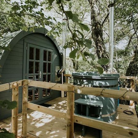 Ash Winter Retreat- Hot Tub & Log Bruner Barmouth Bagian luar foto