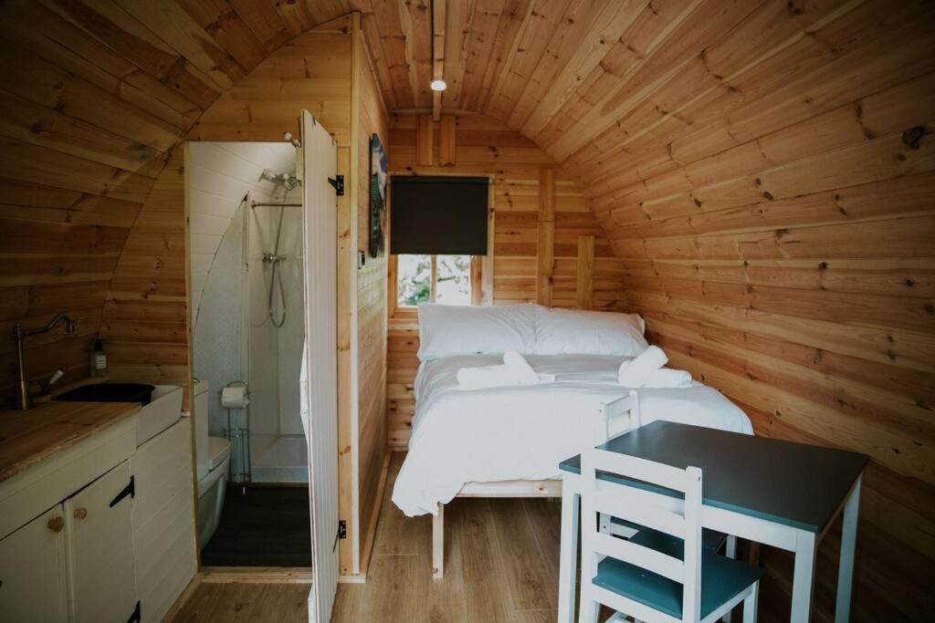 Ash Winter Retreat- Hot Tub & Log Bruner Barmouth Bagian luar foto