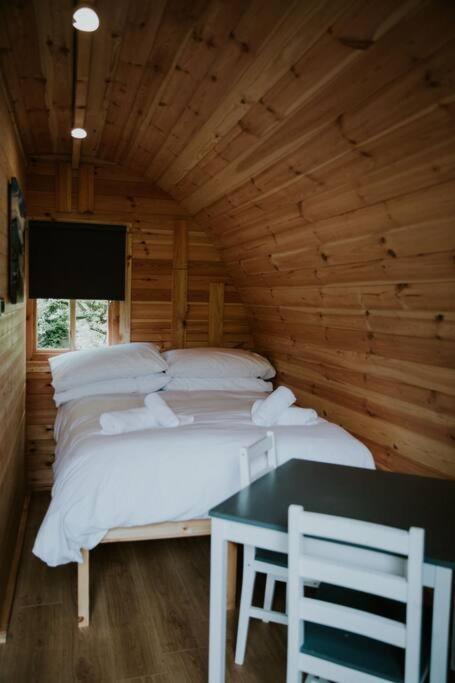 Ash Winter Retreat- Hot Tub & Log Bruner Barmouth Bagian luar foto